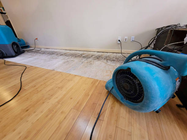 Professional Structural Drying technician working in Little Rock, IA